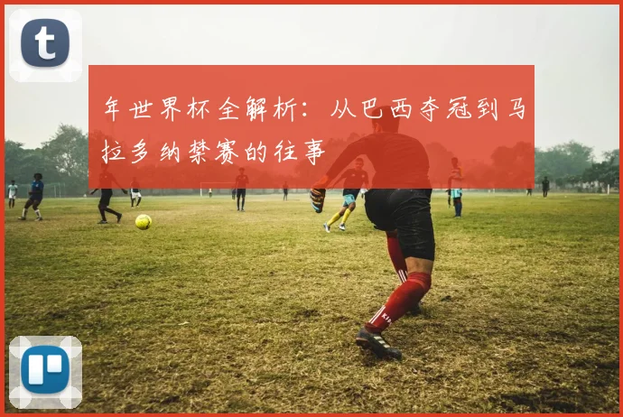 年世界杯全解析:从巴西夺冠到马拉多纳禁赛的往事