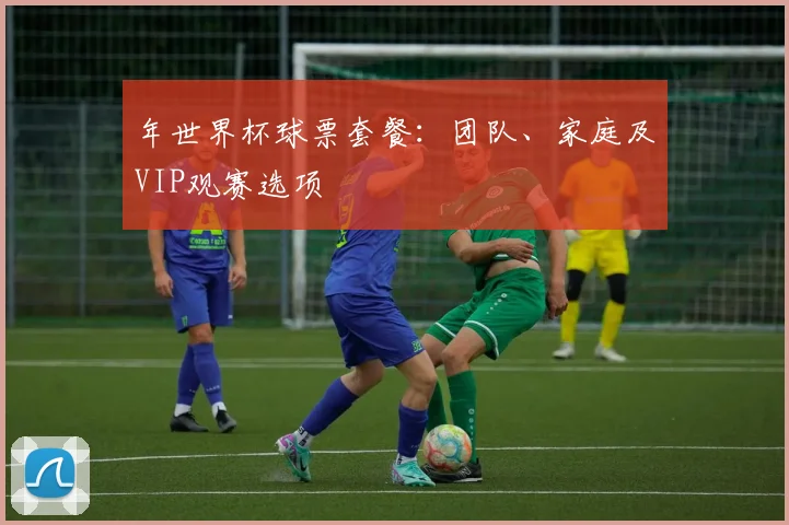 年世界杯球票套餐:团队、家庭及VIP观赛选项